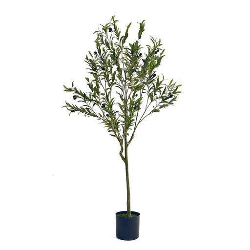 Artificial Olive Tree - R&R Furniture Gallery (Fountain Valley, CA)