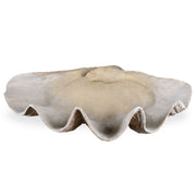 Beige clam-shaped shell bowl from Uttermost, decorative plate with natural shell design, ideal for coastal or nautical decor.