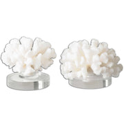 White hard coral sculptures set of 2 by Uttermost, detailed textured coral-shaped figurines for home decor.