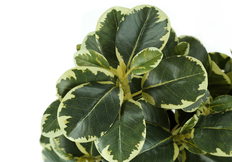 14" Tall, Artificial Plant, Ficus, Indoor, Faux, Fake, Table, Greenery, Potted, Decorative (Set of 2) - Green / Black - R&R Furniture Gallery (Fountain Valley, CA)