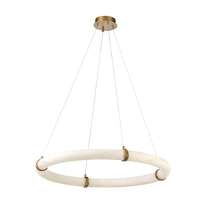 Entangled Vine - 1 Light Pendant - Brass
