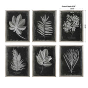 Set of six black framed foliage prints by Uttermost, featuring botanical artwork arranged in a stylish wall decor display.