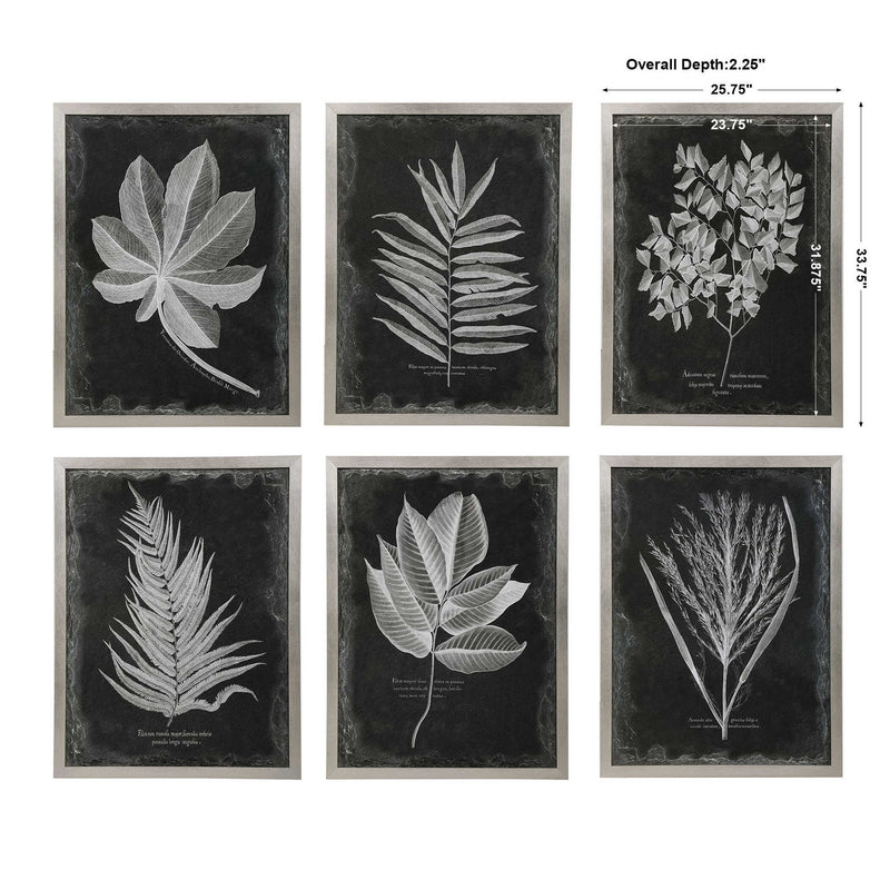 Set of six black framed foliage prints by Uttermost, featuring botanical artwork arranged in a stylish wall decor display.