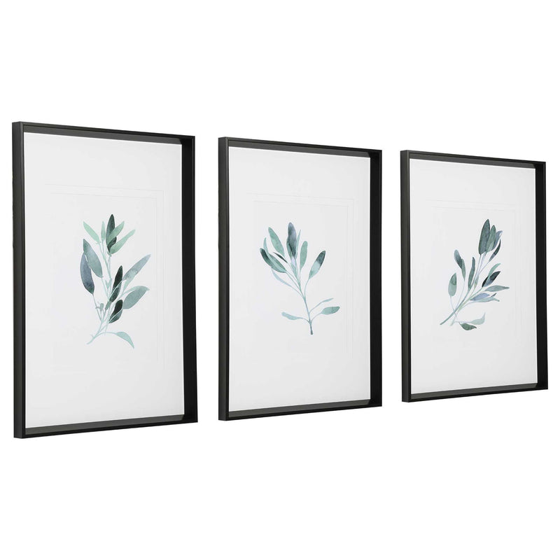 Set of three framed watercolor sage print artworks by Uttermost, featuring soft green and white botanical designs.