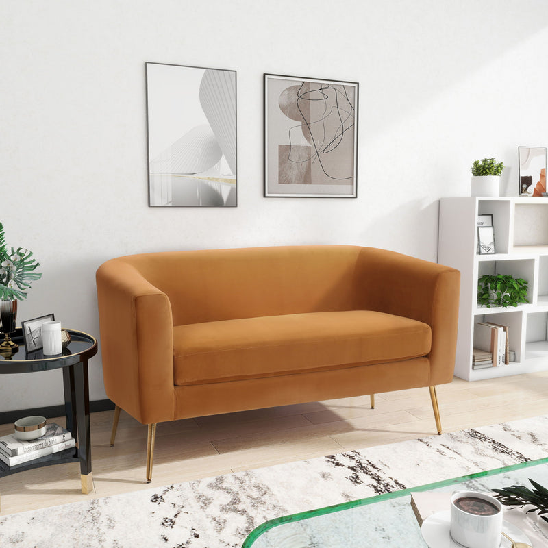 Modern Elegant Design Style Loveseat - R&R Furniture Gallery (Fountain Valley, CA)