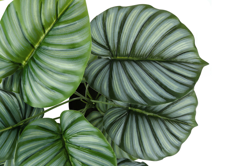 24" Tall, Artificial Plant, Calathea, Indoor, Faux, Fake, Table, Greenery, Potted, Real Touch, Decorative - Green / Black - R&R Furniture Gallery (Fountain Valley, CA)