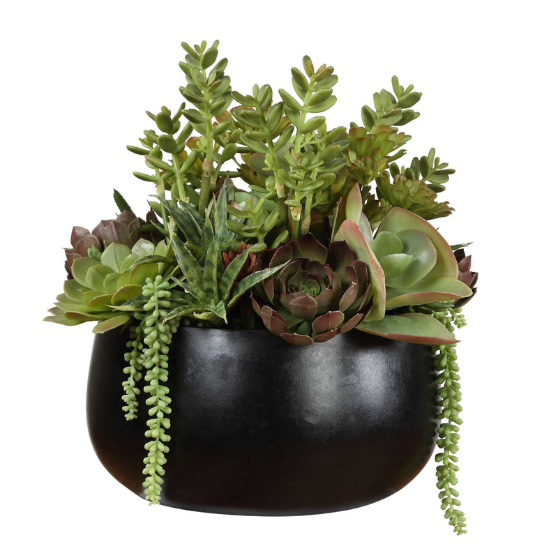 Mico - Indoor-Outdoor Succulent Centerpiece - Black,Green