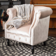 Noble House Celestialis upholstered club arm chair with tub design, rolled recessed armrests, and plush fabric for stylish comfort.