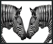 Zebras - 48" x 72" Photography - Black / White - R&R Furniture Gallery (Fountain Valley, CA)
