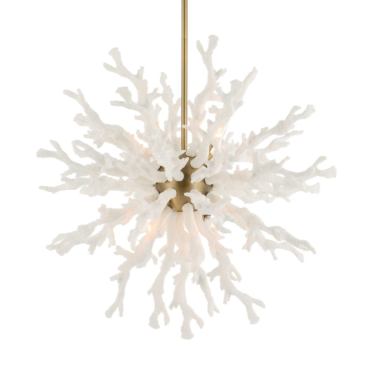 Coral Reef - 8 Light Pendant - Brass