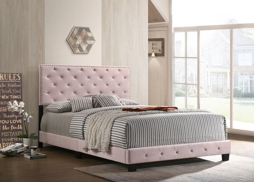 Luxurious Upholstered Bed - R&R Furniture Gallery (Fountain Valley, CA)