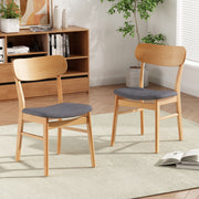 Noble House dining chair set with cushioned seats and wood frames, stylish and comfortable for dining rooms, set of 2.