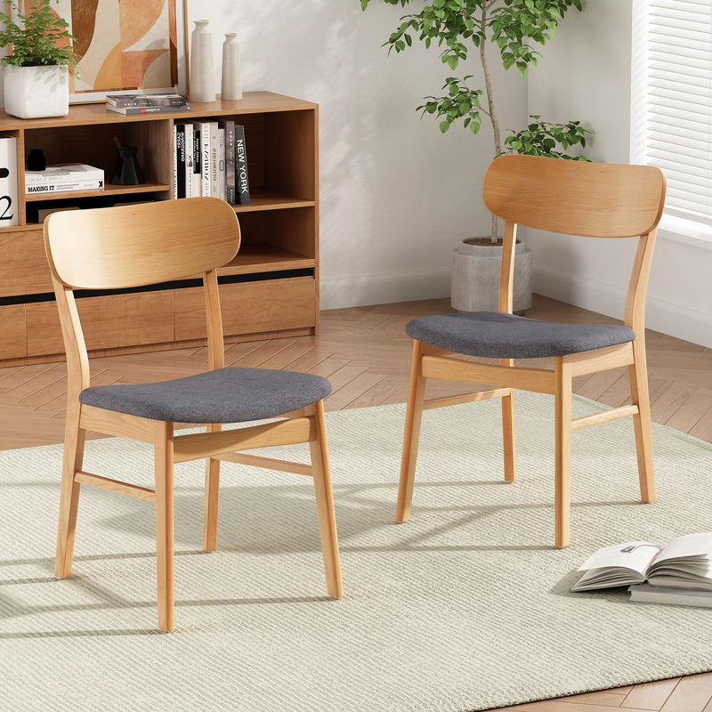 Noble House dining chair set with cushioned seats and wood frames, stylish and comfortable for dining rooms, set of 2.