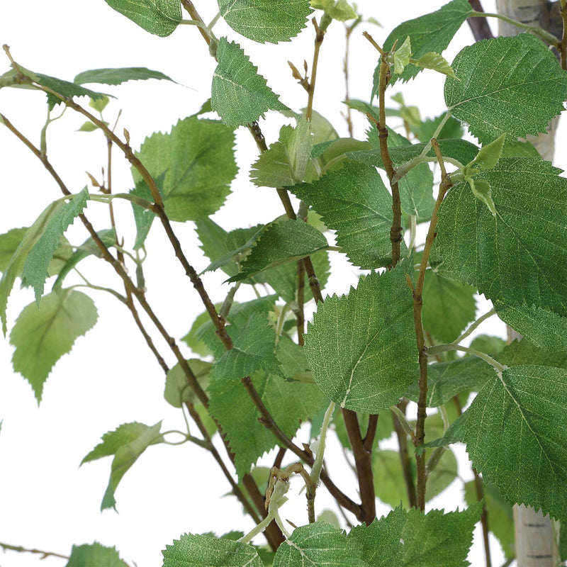 Boreal - Potted Birch Tree - Gray / Green