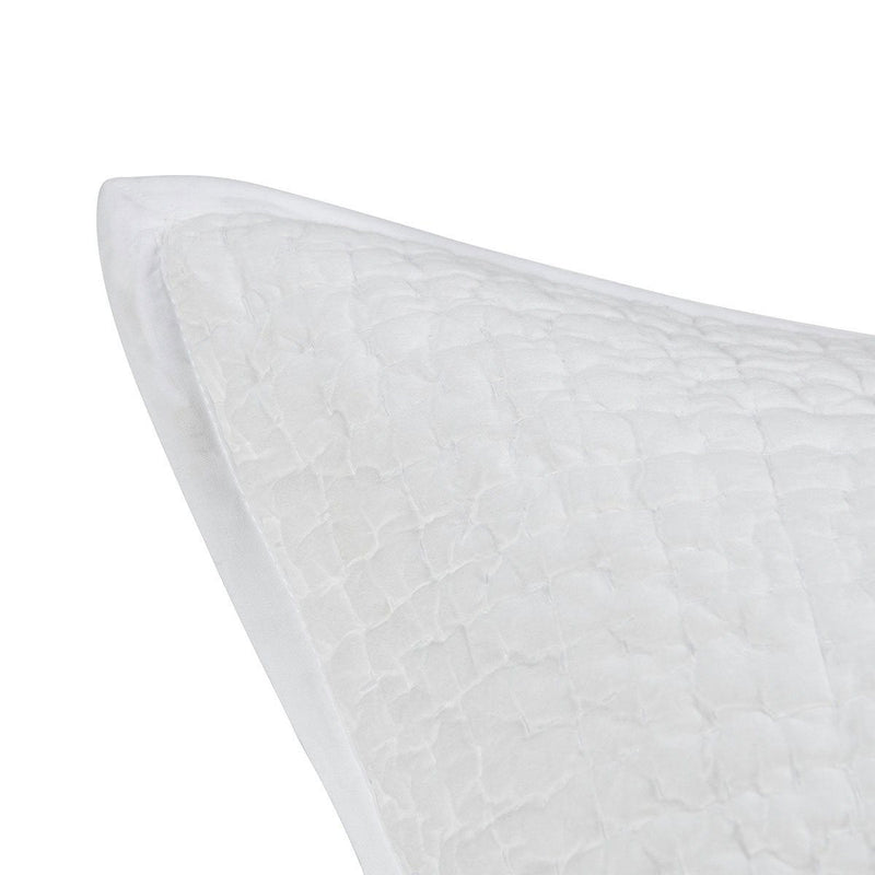 Danica - Sham - R&R Furniture Gallery (Fountain Valley, CA)