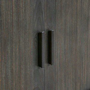 Drury - 2 Door Cabinet - Dark Gray