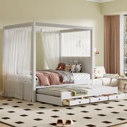 Upholstery Canopy Platform Bed With Trundle And Three Storage Drawers - R&R Furniture Gallery (Fountain Valley, CA)