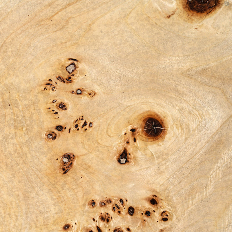 July - Modern Mapa Burl Round Coffee Table — view 3