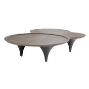 Beulah - Modern Free Form Dark Ash Coffee Table — view 4