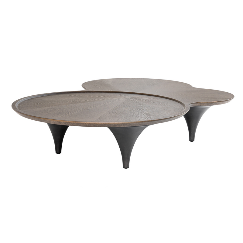 Beulah - Modern Free Form Dark Ash Coffee Table — view 4