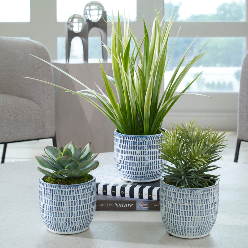 Puebla - Greenery In Blue & White Pots (Set of 3) - Green