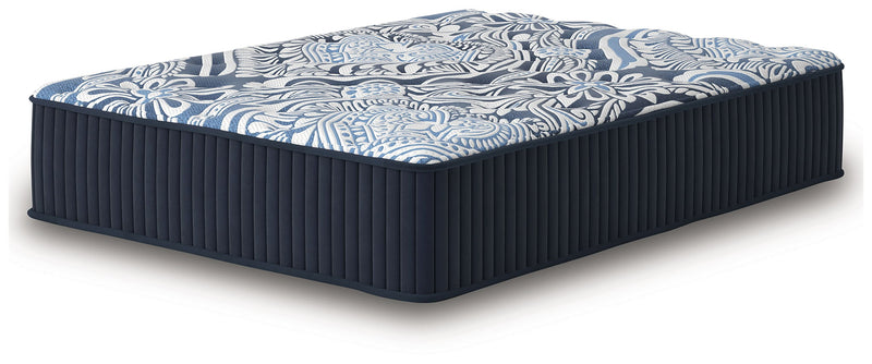Firm Luxe 2.0 - Mattress - R&R Furniture Gallery (Fountain Valley, CA)