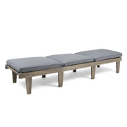 Noble House Ariana wood chaise lounge with cushion, featuring a sleek design and comfortable seating for relaxing outdoors.