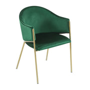 Modern upholstered Noble House armchair with a stylish frame, featuring plush cushioning and contemporary design.