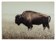 Brutus - Wall Art - Sepia - R&R Furniture Gallery (Fountain Valley, CA)