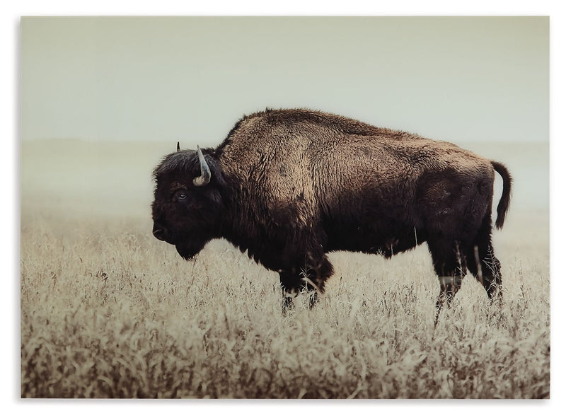Brutus - Wall Art - Sepia - R&R Furniture Gallery (Fountain Valley, CA)