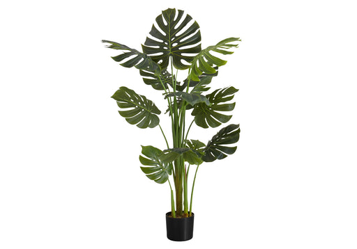 55" Tall, Artificial Plant, Monstera Tree, Indoor, Faux, Fake, Floor, Greenery, Potted, Real Touch, Decorative - Green / Black - R&R Furniture Gallery (Fountain Valley, CA)