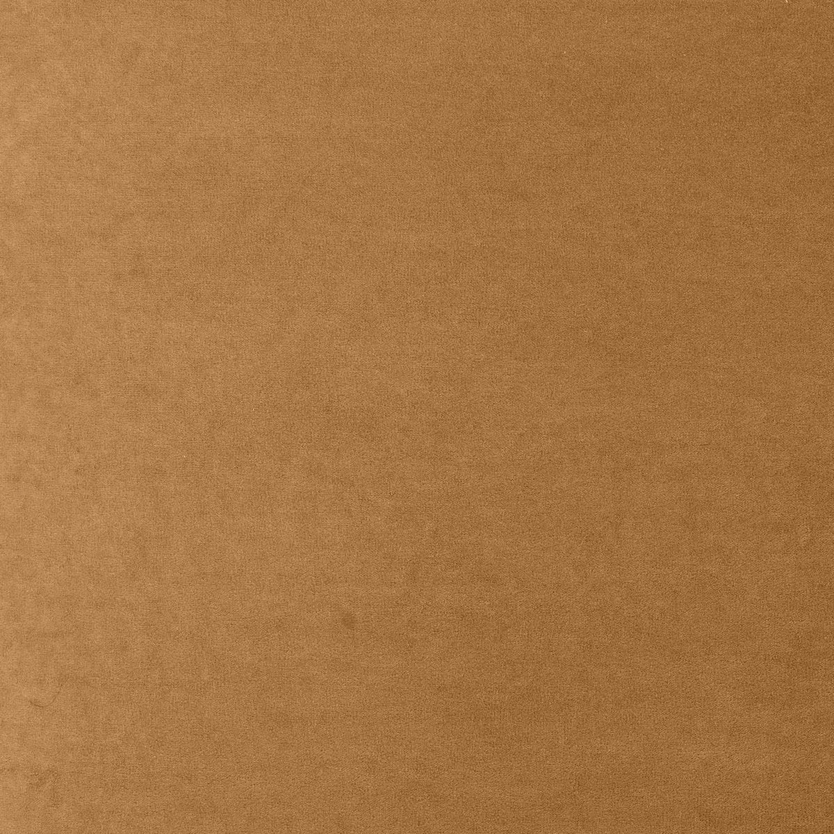 Tiara - Dining Chair - R&R Furniture Gallery (Fountain Valley, CA)