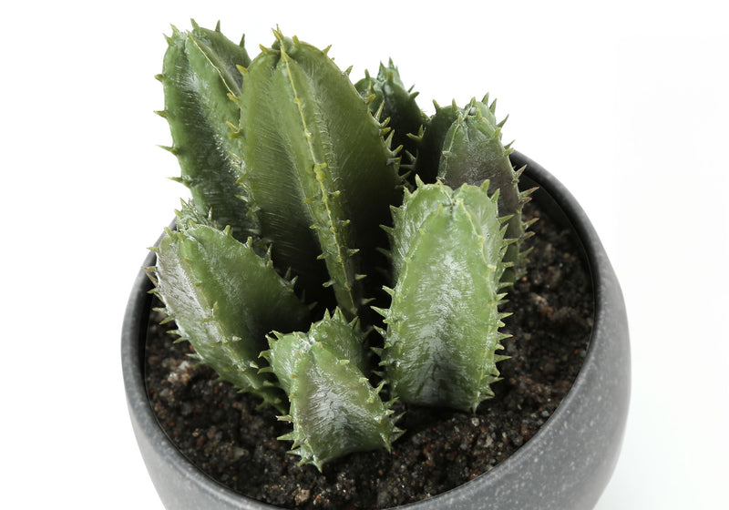 Set of 3 artificial succulent plants from 8th Street, featuring realistic green succulents in decorative pots.