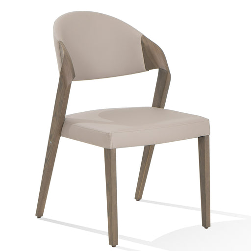 Arlo - Mid-Century Beige & Grey Ash Dining Chair (Set of 2)