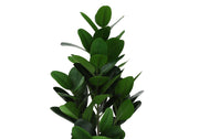 28" Tall, Artificial Plant, Garcinia Tree, Indoor, Faux, Fake, Floor, Greenery, Potted, Real Touch, Decorative - Green / Black - R&R Furniture Gallery (Fountain Valley, CA)