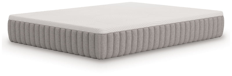 Terra Sleep Medium - Mattress - R&R Furniture Gallery (Fountain Valley, CA)