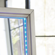 Evesen - Floor Standing Mirror With Storage - Champagne - R&R Furniture Gallery (Fountain Valley, CA)