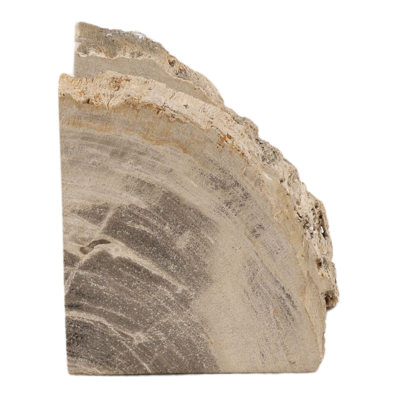 Pedroso - Bookend (Set of 2) - Natural