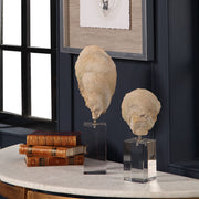 Pair of beige oyster shell sculptures from Uttermost, decorative figurines with textured shell details, perfect for coastal decor.