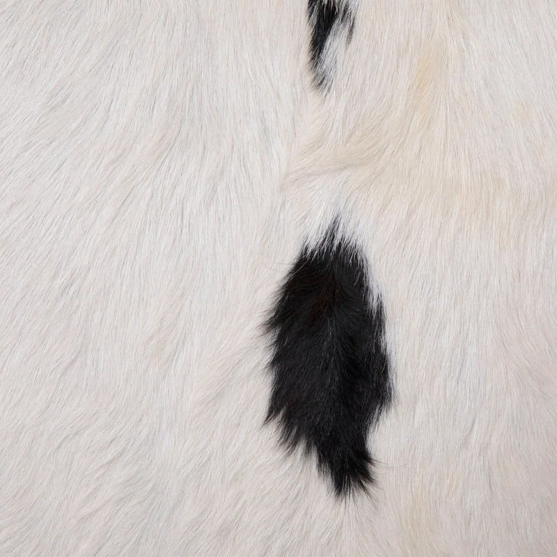 Ebony - Occasional Chair - Natural Black And White With Black