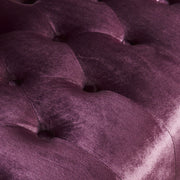 Noble House Nurturing upholstered loveseat with wing back and diamond tufting, stationary design, in a cozy living room setting.