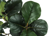 47" Tall, Artificial Plant, Fiddle Tree, Indoor, Fake, Floor, Greenery, Potted, Real Touch, Decorative - Green / Black - R&R Furniture Gallery (Fountain Valley, CA)