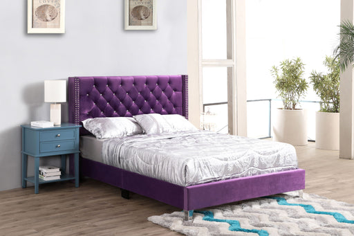 Upholstered nailhead trim chic bed by Glory Furniture with plush fabric and elegant headboard design, showcasing stylish bedroom furniture.