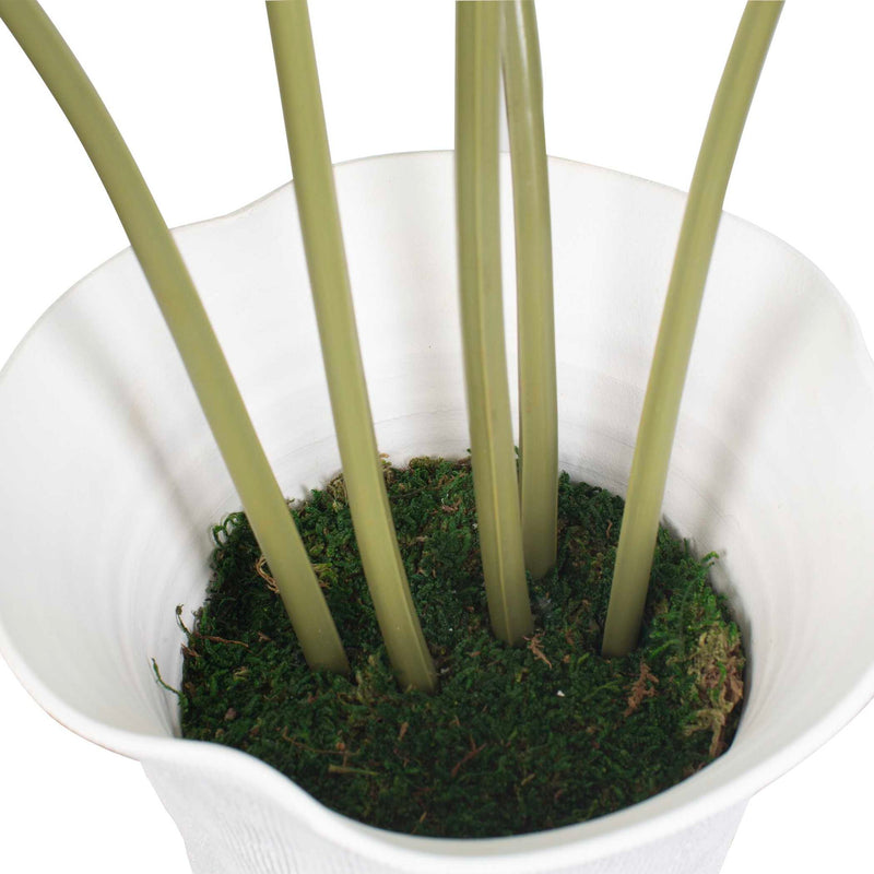 Muse - Monstera Vase Centerpiece - Green / White