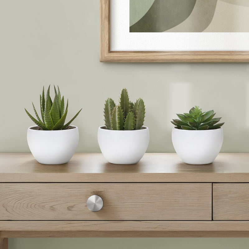 Set of 3 artificial succulent plants from 8th Street, realistic green succulents in small decorative pots for home decor.