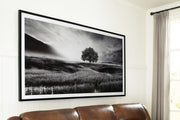 Deborland - Wall Art - Black / White - R&R Furniture Gallery (Fountain Valley, CA)