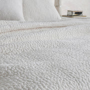 Danica - Sham - R&R Furniture Gallery (Fountain Valley, CA)