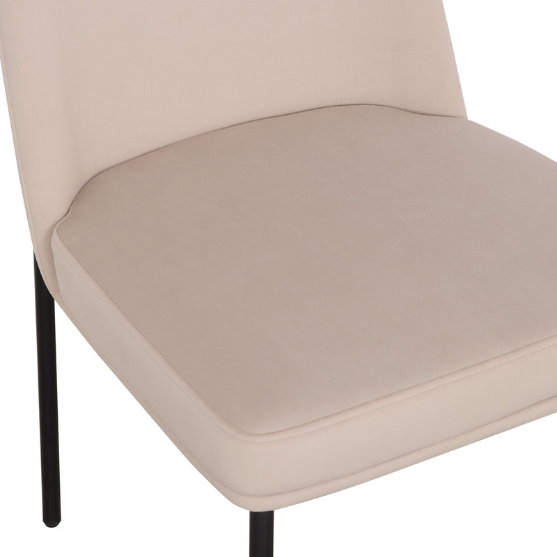 Set of two TOV Furniture Sydney dining chairs with modern design, featuring sleek frames and comfortable upholstered seats.