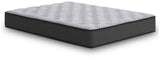 Comfort Plus - Mattress - R&R Furniture Gallery (Fountain Valley, CA)