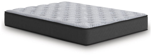 Comfort Plus - Mattress - R&R Furniture Gallery (Fountain Valley, CA)